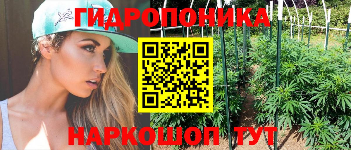 Марихуана тримм  Конопля конопля  Вход с VPN  Сосновый Бор  Марихуана VHQ 
